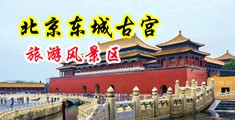 看免费的大巨屌操小逼中国北京-东城古宫旅游风景区